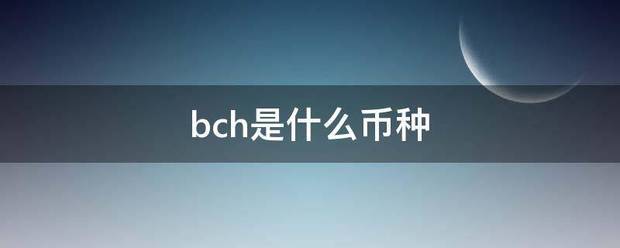 bch是什么币种