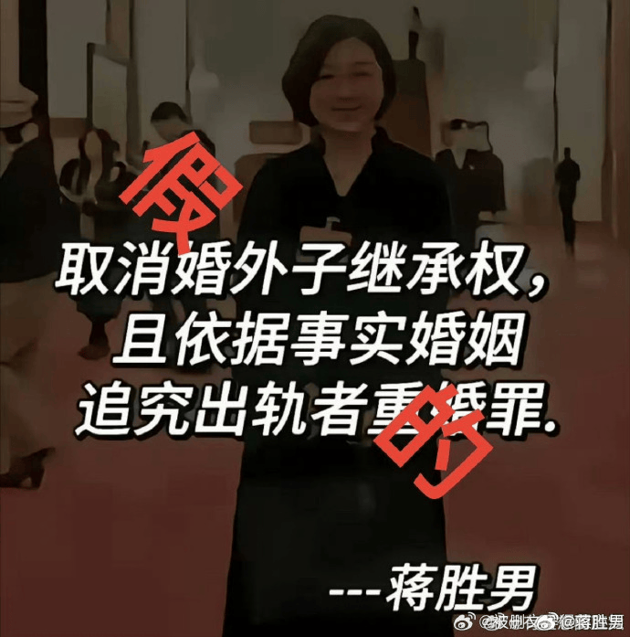 蒋胜男辟谣“建议对未婚男性停发工资”