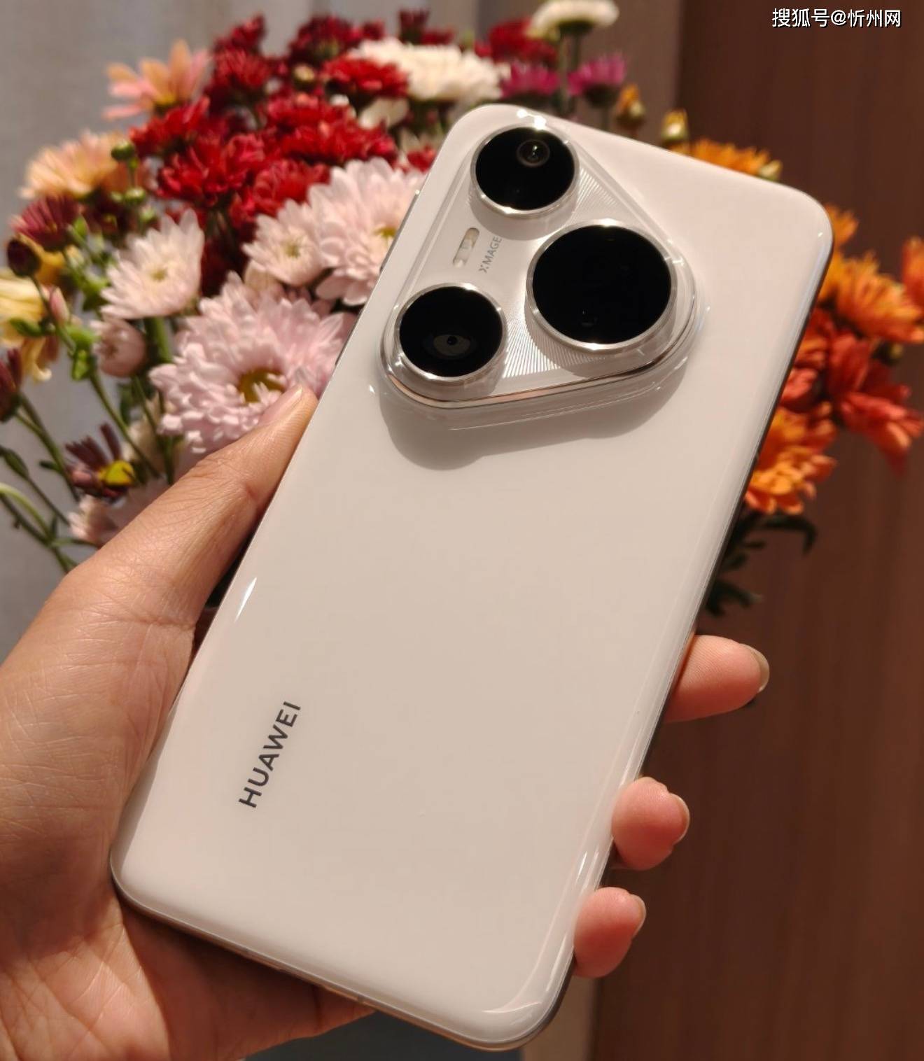 华为Pura 80 Pro、华为Pura 80 Pro+该怎么选？两者有啥区别