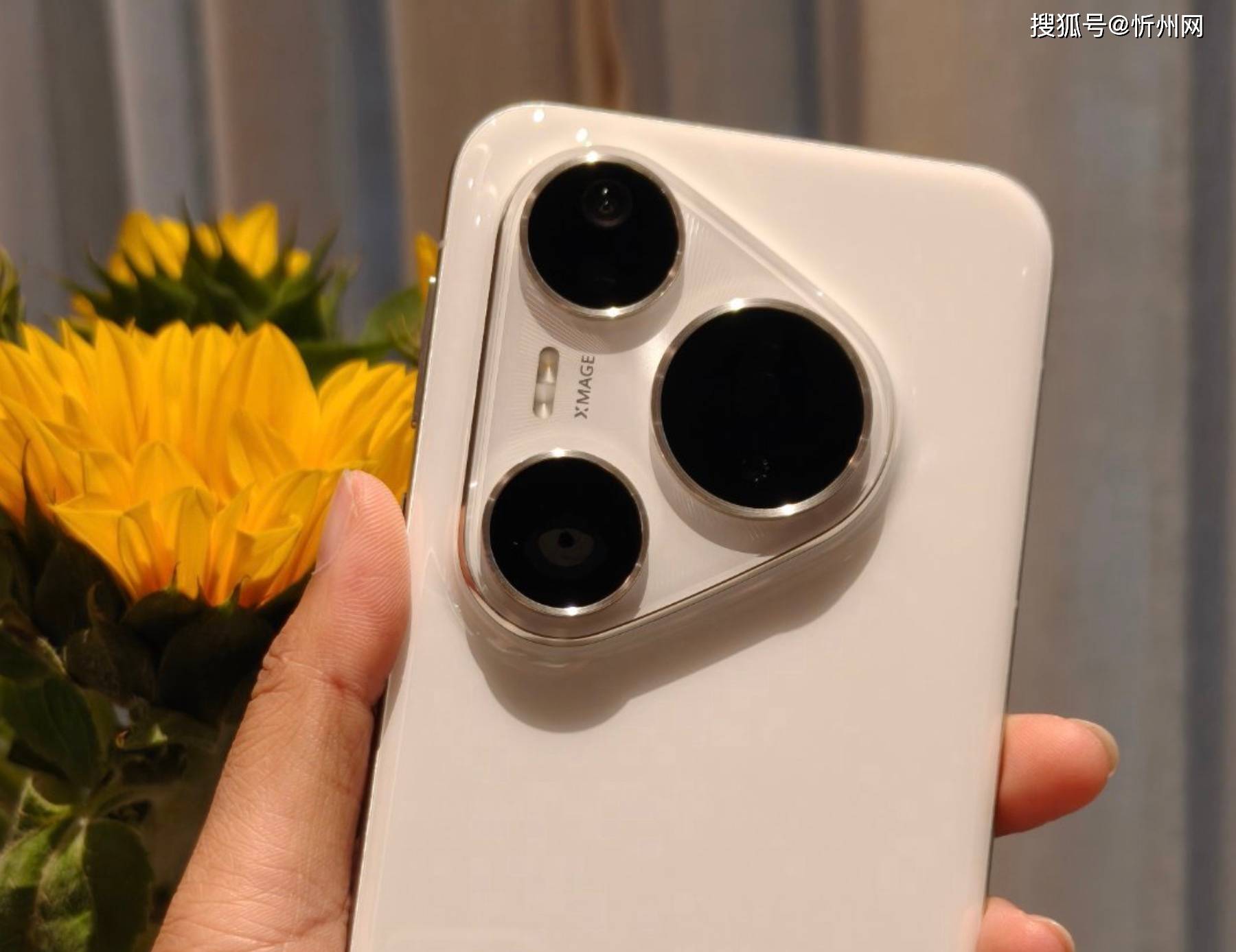 华为Pura 80 Pro、华为Pura 80 Pro+该怎么选？两者有啥区别