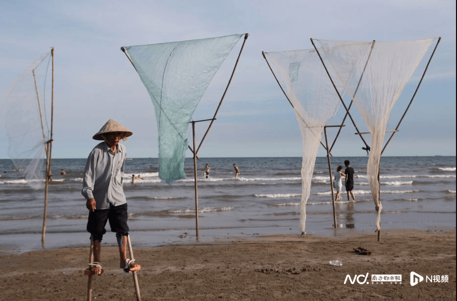 外交部赵立坚点赞湛江:渔网起落间,满舱鲜活载着晨光归来