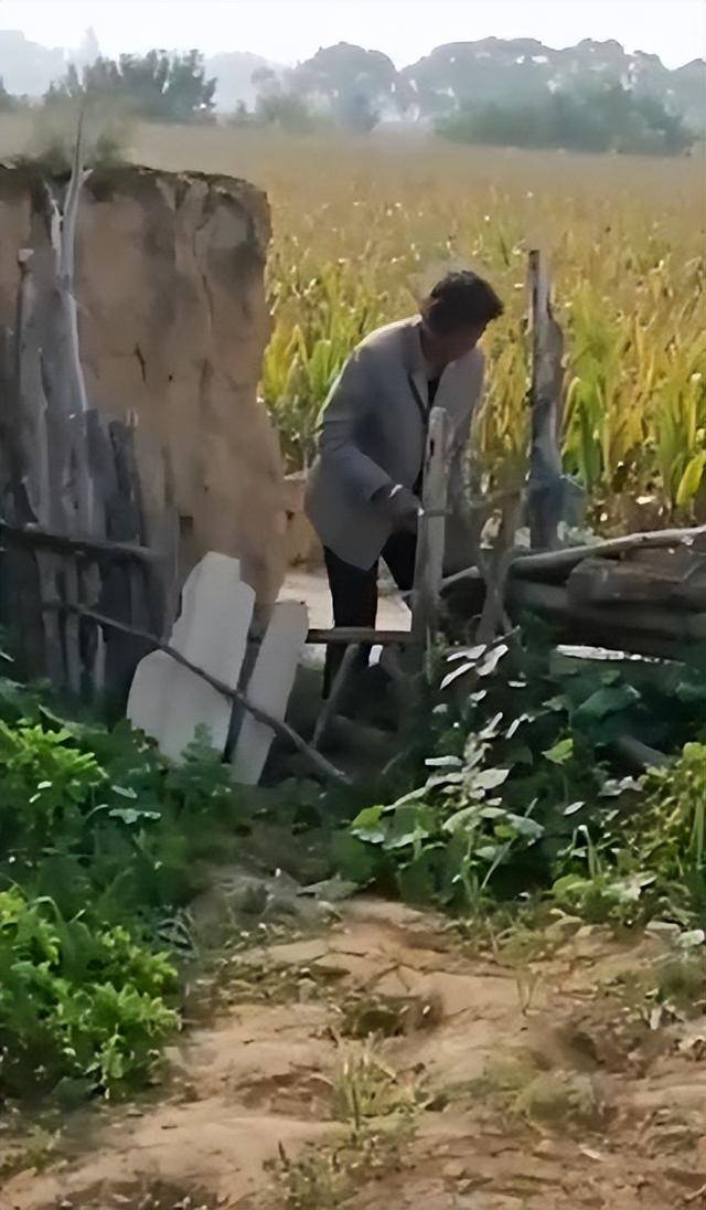 陕西一女子疑因拍亲姑姑偷玉米遭姑父棍杀，邻居欲报警也遇害