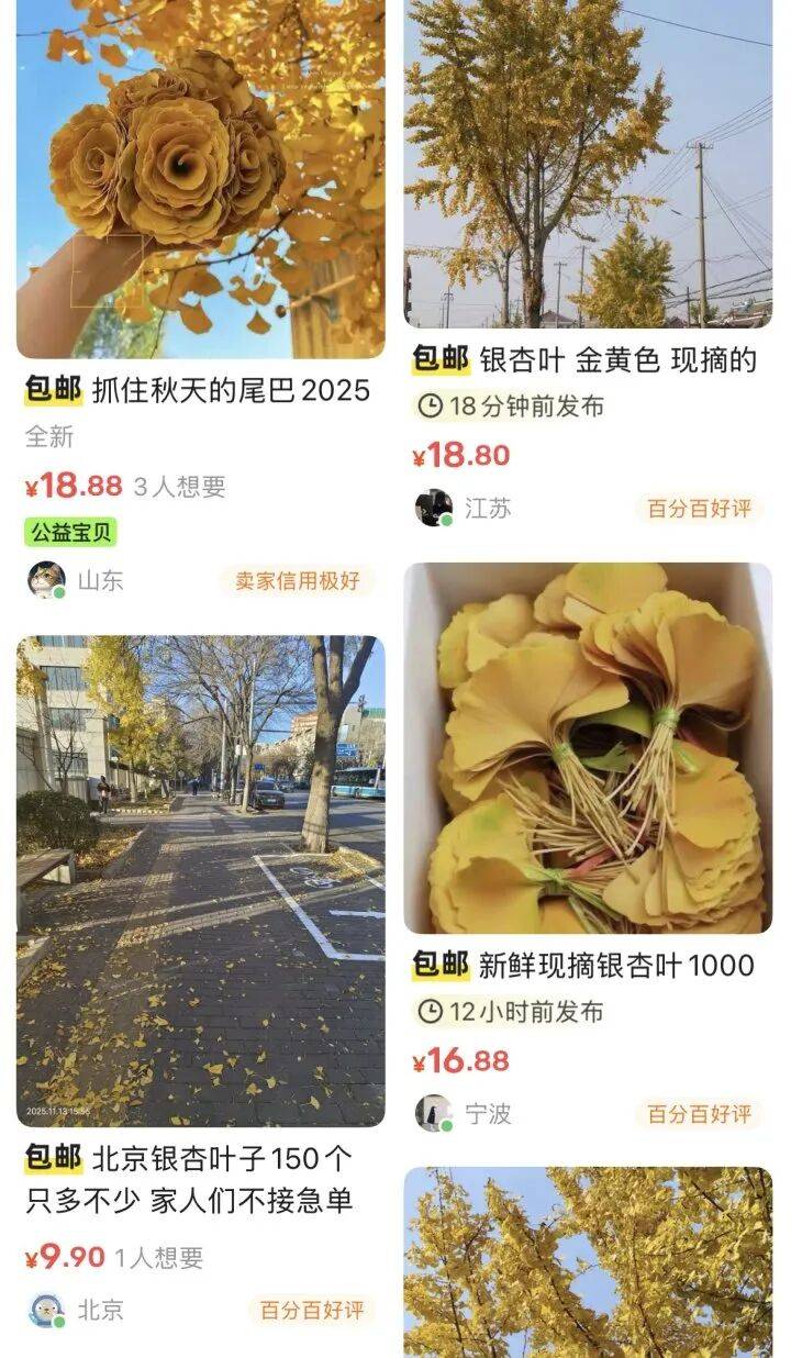 一单149元,成本几乎为0!河南遍地都是,有人靠它悄悄赚钱......