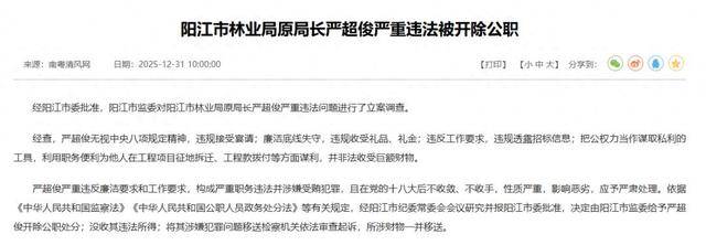 广东阳江通报：严重违法，严超俊被开除公职