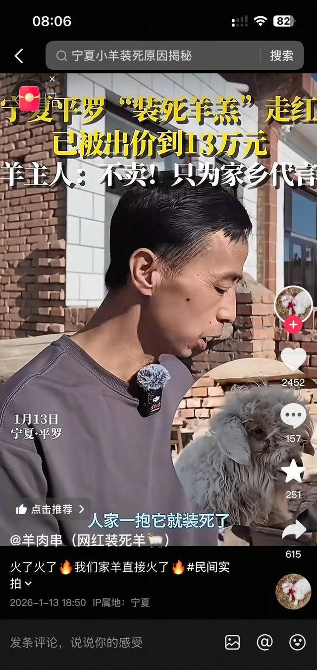 宁夏一小羊因装死走红，有人出价13万购买，羊主人：不卖