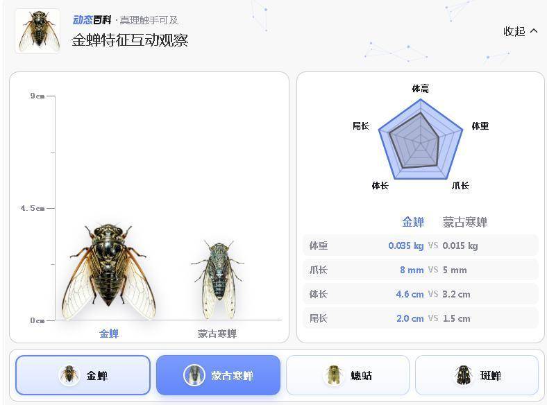 很多山东人竟然不知道？！知了和知了猴不是一种东西！快问问你身边的年轻朋友