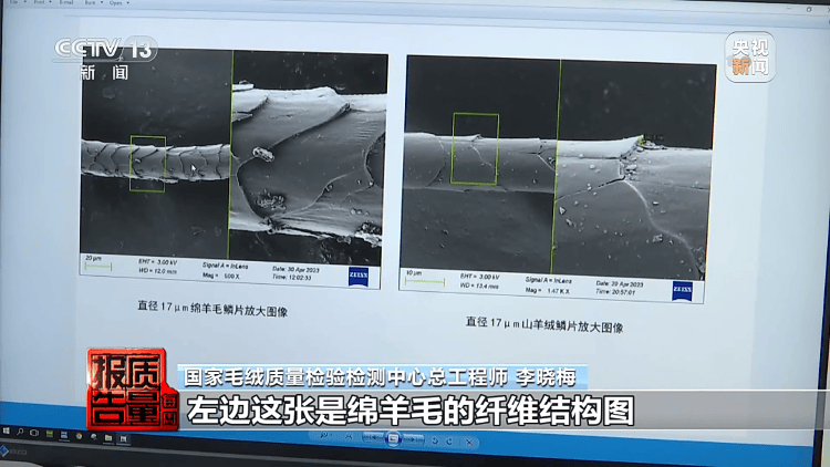 你穿的“100%绵羊绒”,可能一根羊绒都没有