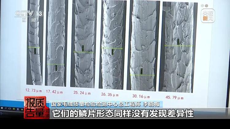 你穿的“100%绵羊绒”,可能一根羊绒都没有