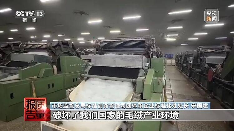 你穿的“100%绵羊绒”,可能一根羊绒都没有
