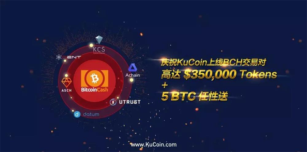 BCH-比特现金交易(比特现金交易所有风险吗)