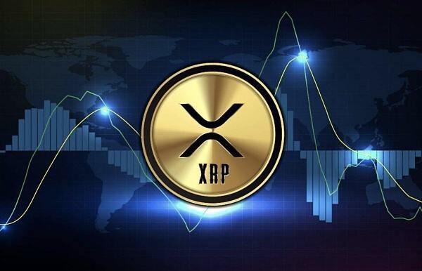 XRP交易所(xrp交易查询)